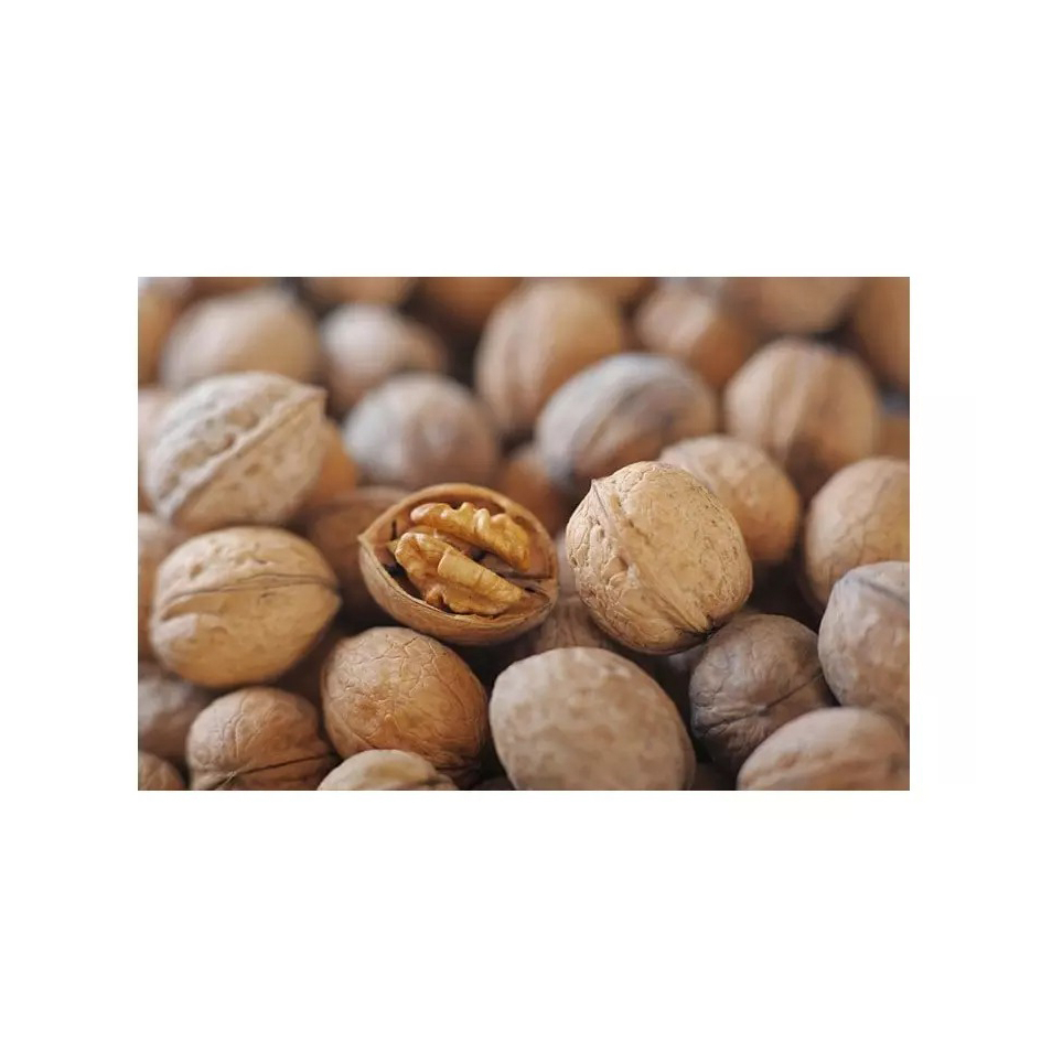 Best Quality Premium Kashmiri Whole Walnuts 100% Natural Walnut With Shell at Best Price Nutrient Rich Fresh Organic Raw Organic