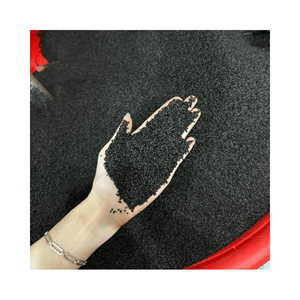 De 99GD vente en gros pas cher prix approvisionnement 100% pur extrait de graines de basilic bio graines de basilic foncé bio - Product Image 1