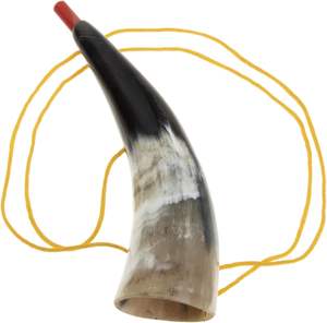 Corneta Vikinga Hecha a Mano Personalizada de Cuerno de Búfalo, Forma Natural, Acabado Pulido, Resistente al Agua - Product Image 1