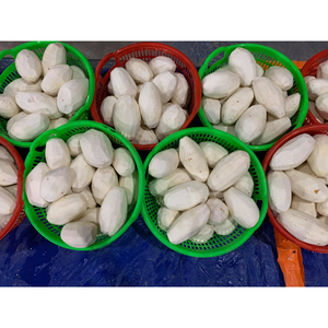 Cubos de taro congelado con aroma natural y textura suave cuidadosamente procesados de raíz fresca para el mercado internacional de exportación - Product Image 4