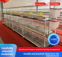 Cage à poulets en acier galvanisé à chaud de type H personnalisée pour élevage avicole avec une conception durable