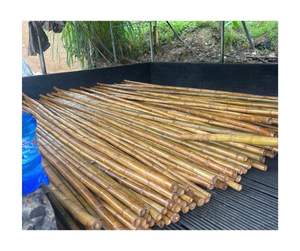 Poteau de canne en bambou écologique en gros matériau naturel de haute qualité Vietnam usine fournisseur direct prêt pour l'exportation - Product Image 4