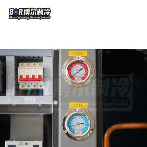 Nuovo tipo <span class=keywords><strong>di</strong></span> Copeland compressori ottimale ad alta efficienza a basso consumo <span class=keywords><strong>di</strong></span> energia cella frigorifera unità <span class=keywords><strong>di</strong></span> refrigerazione per Cold Storage <span class=keywords><strong>frutti</strong></span> <span class=keywords><strong>di</strong></span> <span class=keywords><strong>mare</strong></span> - Product Image 3