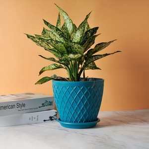 Macetas pequeñas de plástico PP policromadas de alta calidad, estilo de diseño contemporáneo para interiores y exteriores, para uso en pisos de apartamentos y hoteles - Product Image 5