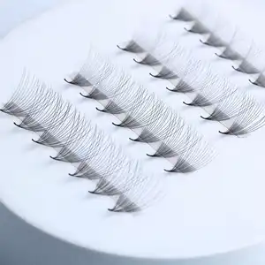 High Quality Soft Korean Silk Eyelashes Custom Your Own LLOGO Lash Tray With Reasonable Price Direct from Factory Lashes 2D- 20D