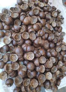 Cuenco de cerámica japonés hecho a mano Biodegradable 150ml Cáscara de coco Desechable pulido sin BPA y ecológico para fiestas - Product Image 3