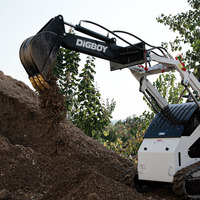 Brazo Excavador Compacto DIG-BOY para Minicargadoras, Aleación de Acero para Minicargadoras de 1-9 Toneladas, Eliminación de Tocones y Excavación de Zanjas