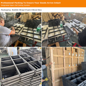 Meilleur fournisseur de grille de <span class=keywords><strong>plafond</strong></span> en aluminium ignifuge à cellules ouvertes pour chambre à coucher, salle de bain, extérieur, hôtel, centre commercial <span class=keywords><strong>600x600</strong></span> - Product Image 6