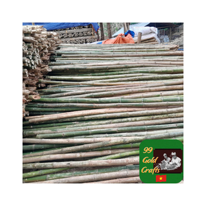 Estacas de bambú duraderas Tubo de postes respetuoso con el medio ambiente para frijoles de tomate Soporte en maceta Soportes fuertes de bambú para jardinería - Product Image 1