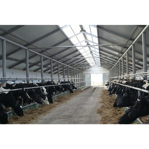 Industrial Galvanized Prefab Metal Steel Structure Building For <strong>Poultry</strong> Farming Goat Sheep Shed Cow <strong>Farm</strong> - Product Image 6