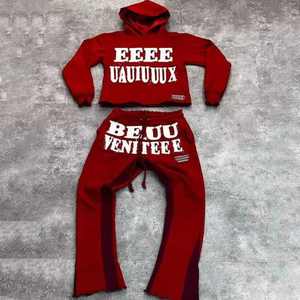 Dtg กางเกงแบนมีฮู้ดแบบสวมศีรษะปักลายสำหรับผู้ชายสินค้าขายดี100% ผ้าฝ้าย500 GSM - Product Image 2