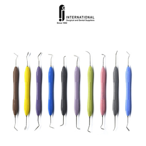 Juego de instrumentos de llenado compuesto Dental de gran venta, 10 Uds., mango de silicona de doble extremo, fuente de alimentación Manual hecha de acero - Product Image 4