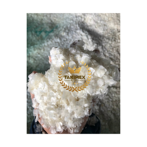 Venta al por mayor de Takimex proveedor exportador fabricante de tilapia seca escamas de pescado ossein descalcificado tipo Vietnam con alta calidad - Product Image 1