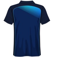 Camiseta de Cricket Personalizada de Otoño para Jugadores y Aficionados, Transpirable, 100% Poliéster, Resistente al Agua, de Secado Rápido, con Estampado por Transferencia de Calor