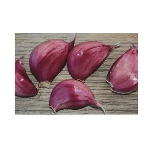 Good Quality Fresh garlic Chinese China Fresh Normal red pealed Fresh Garlic Available in Bulk Fresh Stock At Wholesale Price