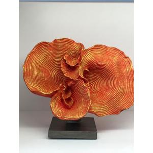 MeGg Mantipora corallo