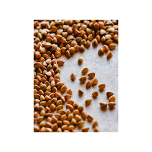 Grano de alforfón orgánico de alta calidad/semilla de alforfón al mejor precio - Product Image 4