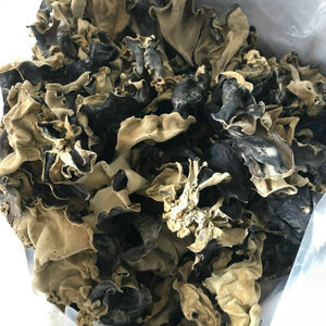 Champignon en bois séché-champignon de haute qualité au VIETNAM // JENNIBUI + 84797005377 - Product Image 2