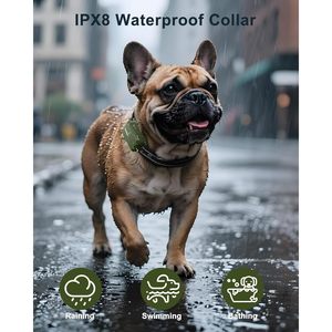 Collar Eléctrico para Perros Jugbow 4500FT, Impermeable IPX8, con Control Remoto y 4 Modos, Material Plástico, Collar de Adiestramiento con Descarga Eléctrica - Product Image 4