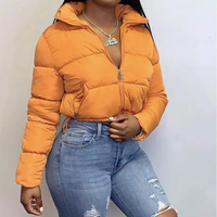 Veste d'hiver matelassée imperméable à capuche pour femmes grande taille 2024 avec doublure en nylon, design tendance