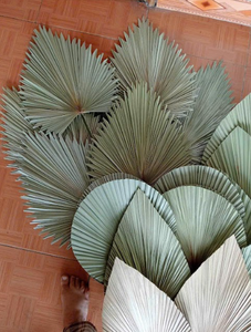 Lightweight and Durable Palm Handfan Perfect for Summer Cooling and Outdoor Activities - Product Image 3