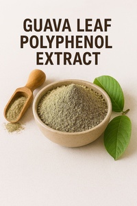 EU Guava Leaf Polyphenol <b>Extract</b> - Product Image 2