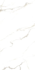 Carreaux de granit chinois planche de bois en marbre italien gres porcelanto pour Gaurage. - Product Image 4