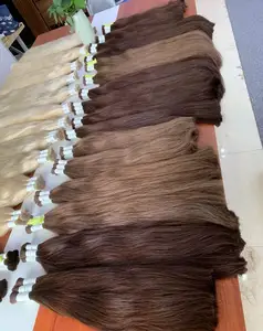 Raw Vietnamese Straight Hair Unprocessed Virgin Brown Same Cuticle Aligned from Hair Vendors Vietnamese Factory