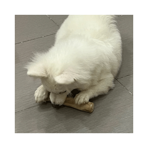 Mastics respectueux de l'environnement pour vos animaux de compagnie, fabriqués à partir de bois de provenance responsable, de haute qualité et à des prix compétitifs - Product Image 4