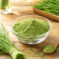 Poudre d'herbe d'orge pure, concentré de jus d'orge en poudre, ingrédient Super Greens de qualité alimentaire, vente en gros et approvisionnement en vrac