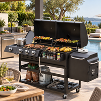 Barbecue à gaz et charbon double combustible avec four à pizza et fumoir, certifié CE EMC GS, en acier moderne, pour la maison et l'extérieur
