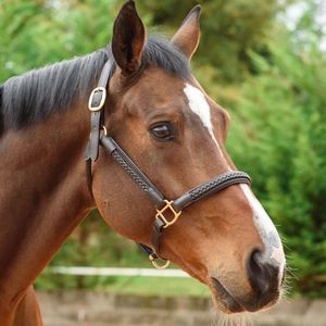 Cheval Cheval Licol en cuir Halter Noir Marron Tressé Tressé Equine Cob Full - Product Image 5