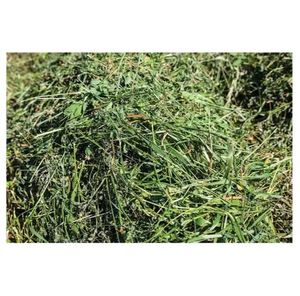 Foin d'alfalfa à vendre, commandes en gros disponibles, idéal pour le bétail et l'alimentation animale, haute qualité, prix compétitifs, livraison mondiale - Product Image 3