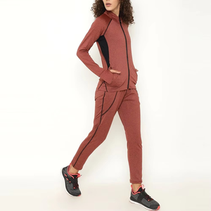Survêtement solide d'hiver pour femmes personnalisé Nouvelle combinaison de sport tendance de haute qualité Vêtements de rue unis Survêtement en spandex - Product Image 2