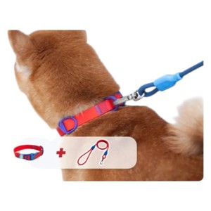 Collier pour chien en nylon rouge avec boucle bleue, réglable, design simple, utilisable toute l'année pour les chiens - Product Image 3