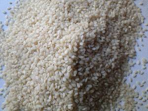 Graines de sésame - Product Image 5