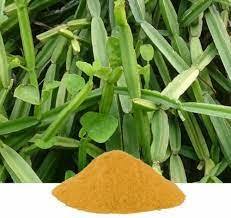 Pure Cissus Quadrangularis Hadjod Poudre à base de plantes Supplément de soutien osseux naturel Remède ayurvédique traditionnel pour la santé des articulations - Product Image 5