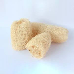 Loofah naturel, Loofah à laver la vaisselle, Loofah de bain exfoliant du Vietnam - Product Image 2