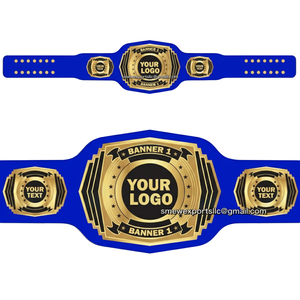 Pro Wrestling Belt 2010 Smackdown Tag Team Championship Correa Jiu-Jitsu Taekwondo - Product Image 2