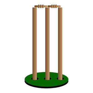 Ensemble de 3 souches de cricket en plastique de qualité supérieure pour personnes âgées - Product Image 3