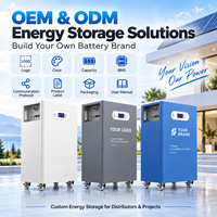 Batterie domestique LiFePO4 10,24 kWh 14,34 kWh 16,08 kWh 51,2 V avec BMS intelligent, stockage d'énergie solaire sur pied ESS, vente en gros