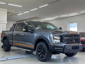 Pick-up Ford F-150 Raptor d'occasion gris, 4x4, cabine double, véhicule utilitaire tout-terrain - Product Image 1