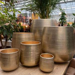 <b>Black</b> Iron Metal Planter Pot for Modern Homes - Product Image 4