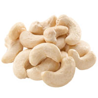 W320-W240 Top Geëxporteerde Hoge Kwaliteit 100% Biologische Gedroogde Cashewnoten Van Vietnam Telefoon + 84359313086