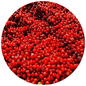 Mermelada de Grosella Malaya Especialidad, Sabor Natural Agridulce, Precio Accesible - Product Image 4