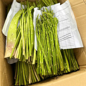 IQF Frozen <b>Asparagus</b> Tips and Spears Meeting Export Quality - Product Image 1