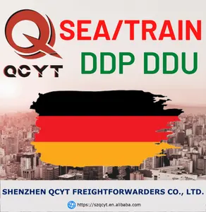 Professional Experienced Freight Forwarder SEA Train AIR dhl international shipping agent from China to Germany cheap rate