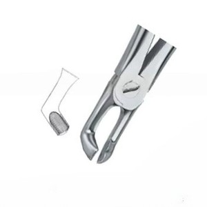 Pince à extraire les dents dentaires Fig79 A Top Meilleure qualité Produits avec logo personnalisé Instruments dentaires en acier inoxydable de haute qualité - Product Image 5