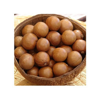Hoge Kwaliteit Biologische Macadamia Noten Gedroogde Schelp Zoete Melkachtige Smaak Hand Geperst Lekkere Snack Rauw Verwerking Groothandel