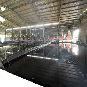 Huile végétale pour la cuisson, huile liquide de coque de noix de cajou (CNSL), vente en gros, qualité supérieure, biocarburants, bioénergie, huile de noix, huile de noix de cajou - Product Image 2